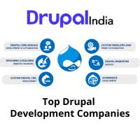 Drupal India: Drupal Development Company image 9